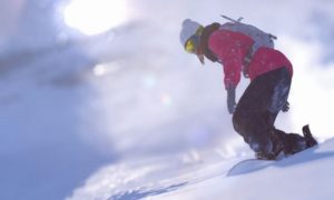 Steep for pc