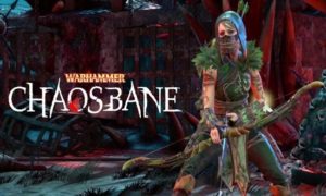 Warhammer Chaosbane game