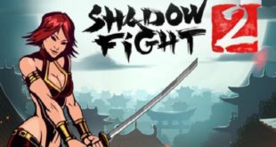 Shadow Fight 2 game