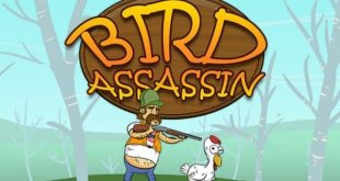 Bird Assassin Game